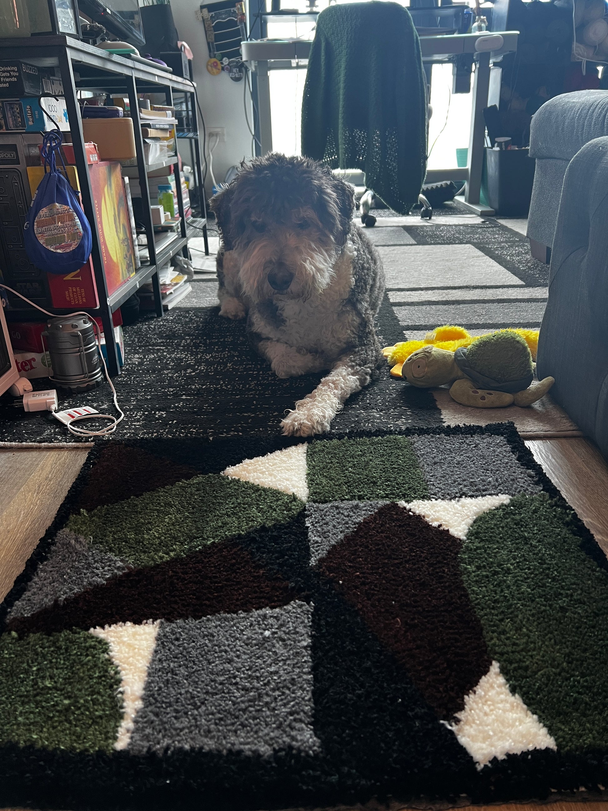 Dog lying on a checkered rug with a car in the background